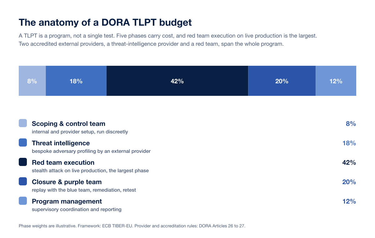 Dora Tlpt Cost Anatomy