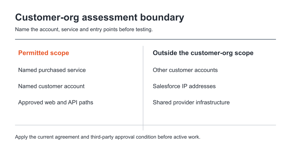 Salesforce customer-account testing boundary