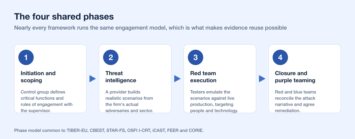 Tlpt Global Phases